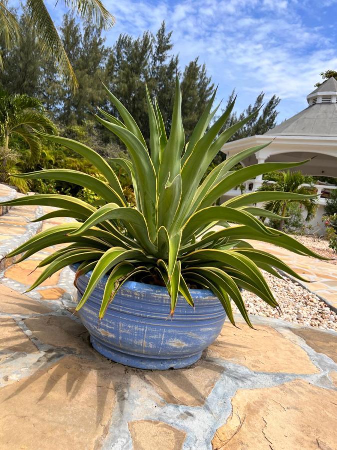 Bed and Breakfast Zumzum Beach House Kinondo Екстер'єр фото